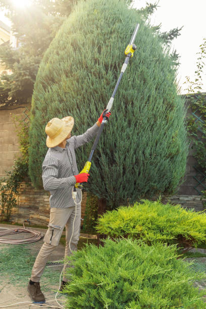 Best Lawn Watering Services  in Chester Gap, VA